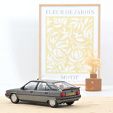 Citroën BX 19 GT 1984 Gris Renard NL version 1/18 - 300pcs