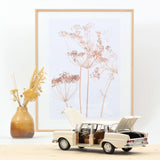 Mercedes-Benz 220 S 1965 Beige 1/18 - 200pcs