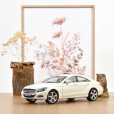 Mercedes-Benz CLS Coupé 2011 Brilliant White Metallic 1:18