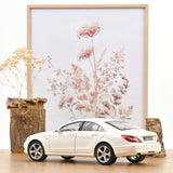 Mercedes-Benz CLS Coupé 2011 Brilliant White Metallic 1:18