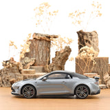 Alpine A110 R Turini 2025 Gloss Thunder Grey 1:18 - 110pcs