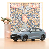 Audi RS 3 Sportback 2025 Kemoragrau 1:18 - 200Stk.