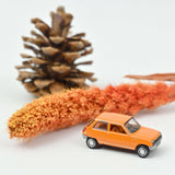 Renault 5 TL 1972 Orange 1/87